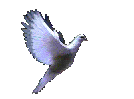 Free Will - Dove symbolizes the Spirit, Freedom and Purity.