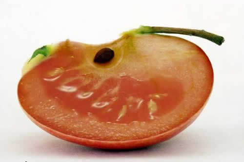 apple and tomato - Apple and tomato, it looks like strange.