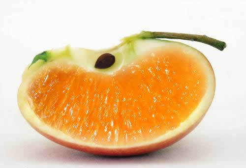 apple and mandarin orange - Apple and mandarin orange