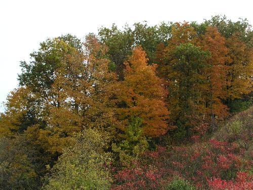 Canada in October - It's a picture of Canada in October