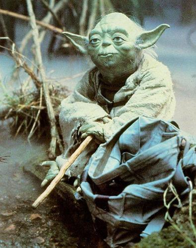 Yoda - The Star Wars character and green puppet Yoda.