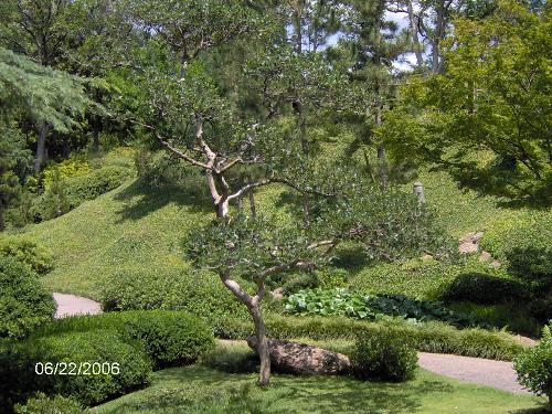 Japanese Gardens in Fort Worth - A hidden gem in the city of Fort worth, TX, the Japanese Gardens are a perfect meditation getaway