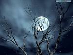 Midnight - Midnight