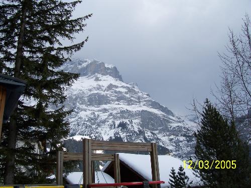 The Swiss Alps - This is a picture I took of the Swiss Alps in 2005. Just like you see them on postcards. I witness hem myself