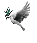Dove - Love sign of theHolt Spirit