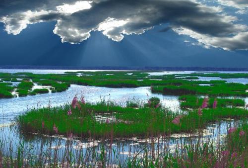 water scene - nice colors interact