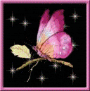 Butterfly - Butterfly - it symbolizes changes or transformation, freedom, love, joy, hapiness, and sometimes loneliness...