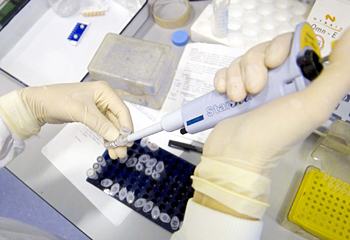 Stem Cells grow Heart - Breakthrough ... Scientists in Britain say they have grown part of a human heart from stem cells for the first time.