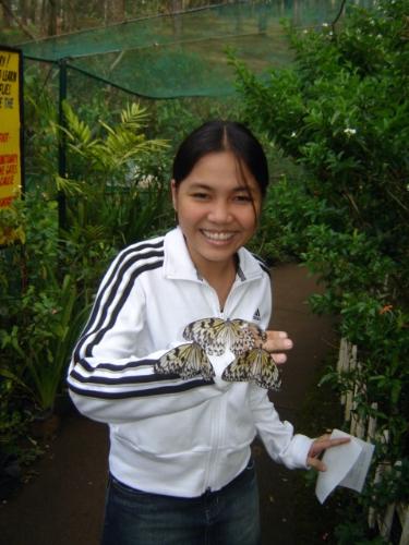 Afraid of Butterflies - at Baguio, butterfly garden