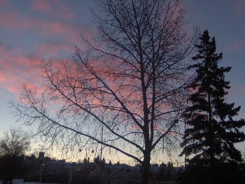 red dawn... - This color showed for just a minute and I happened to be there.