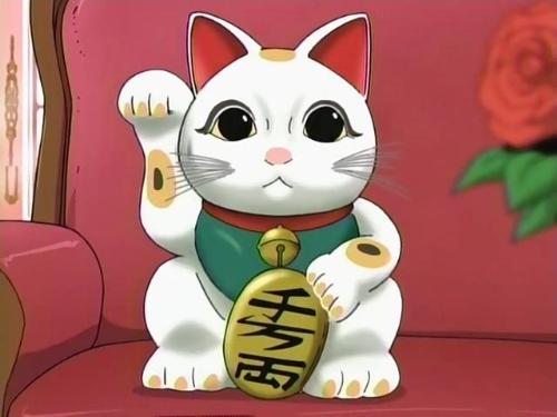 cuteness - I like cute stuffs