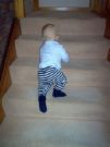 stairs - stair climbing!