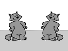 cat - cat throwing pies