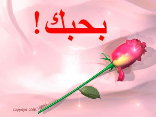 Did you recieve a flower from your special someone - mine yeah and its very memorable for me.....:) god bless