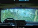 Broken window - Broken Window and broken rear view mirror. Broken window - Broken Window and broken rear view mirror.