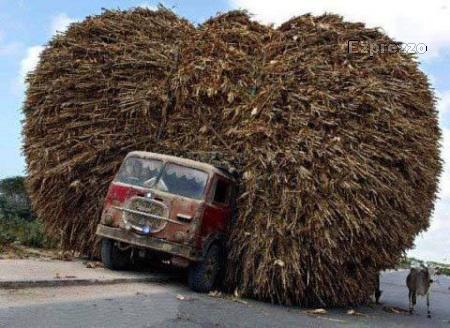 Over Loaded - Its Happenes Only in India