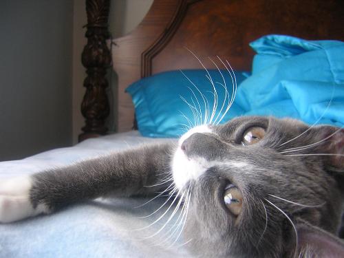 emma - my little baby emma :)