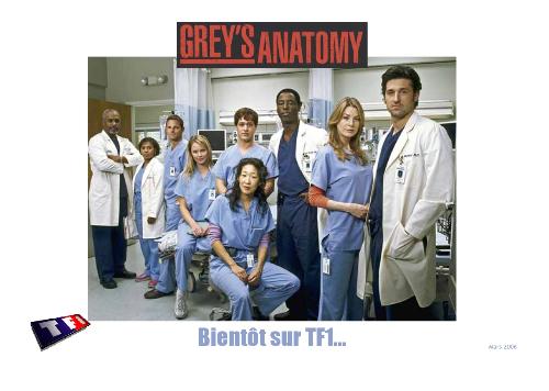 Grey&#039;s Anatomy  - Grey&#039;s anatomy&#039;s crews. Famous tv show in the USA