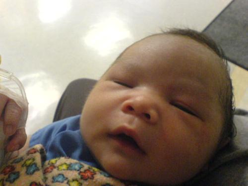 my first day out - this is my baby on the day he came out from his mother.