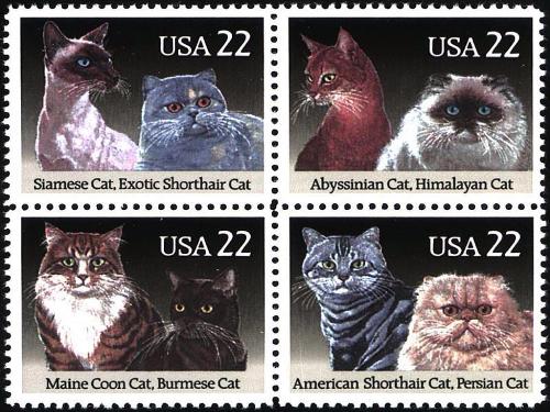 stamps - cat stamp