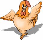 chicken - happy chicken