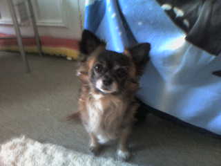 Gissi  -  My special little Man
