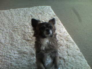 Gissi - My Special Look gets Mum everytime