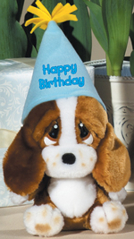 Do you get a treat on your birthday? - A picture of a cute doggie teddy with a birthday hat.