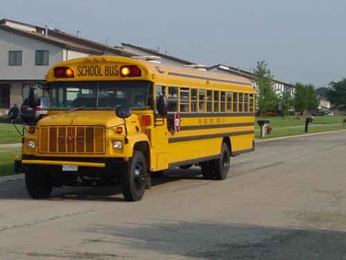 School Bus - School bus