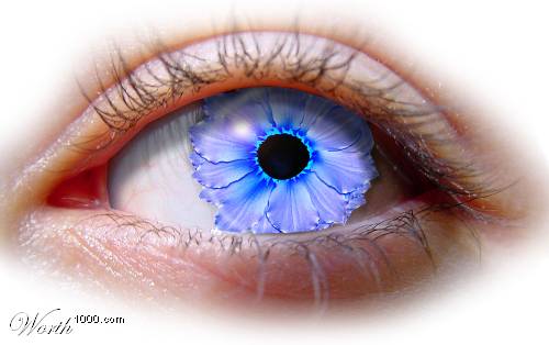eyes in blue sea - these eyes looks like sea water isnit?