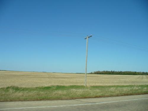more outdoors - Another shot of Saskatchewan's entrancing landscape. Along with our provincial plant, the power pole.