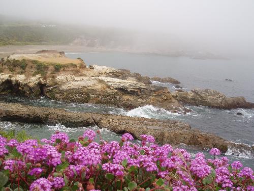 California - on a road trip up Hwy 1. great memories. the trip was full of hiking and exploration.