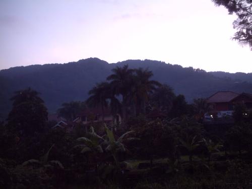 puncak megamendung - green hill on sunset at megamendung