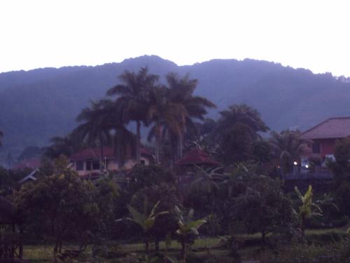 puncak megamendung - green village backyard panoramic