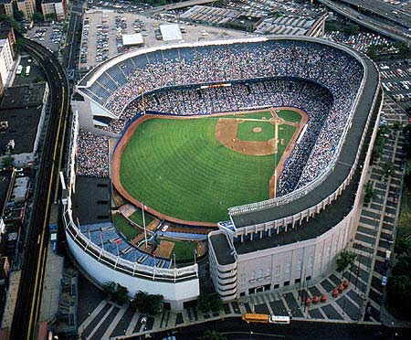 new york yankee - ...