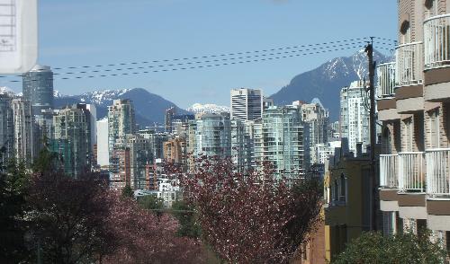 Vancouver B.C. Canada April 03/07 - I snapped this picture while I was waining to take the bus back home it was such a glorious day