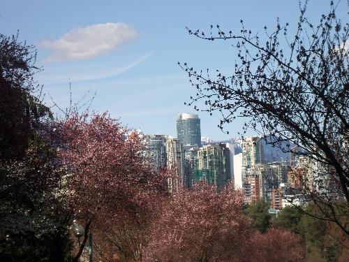 Down Town Vancouver BC Canada - This view is from Broadway and willow , Vancouver is a beautiful city. Come and enjoy