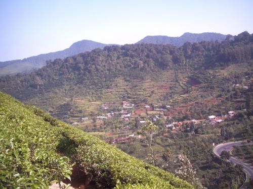 megamendung puncak - another panoramic at megamendung puncak bogor