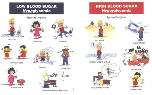 diabetes - diabetes from eating too much sugar?