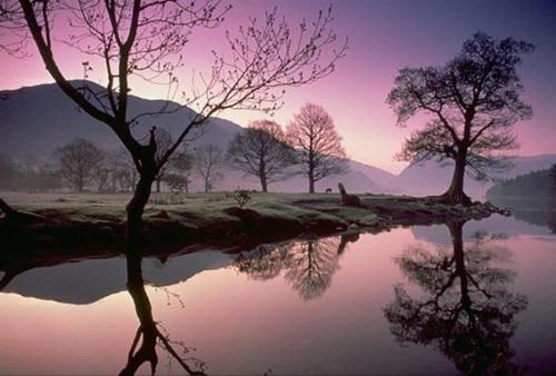 nature at its best - beautiful japanese landscape with stunning purple skyline