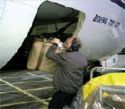 Which way did it go? - luggage handler Which way did it go? - luggage handler