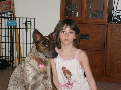 Pet food recall - My 7 year old with one of my cattle dogs