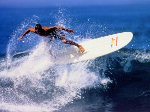 surfing____really fun - surfing
