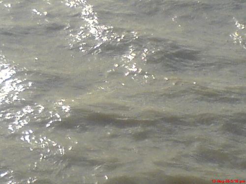 water - in middle