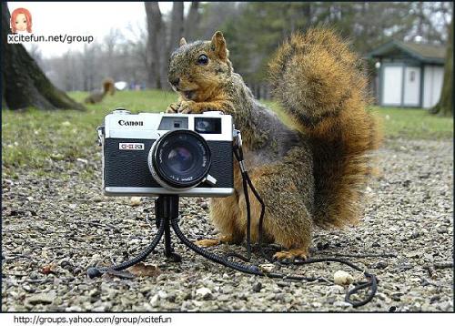 camera - click camara