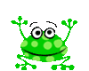 a green poka doted frog - a green frog