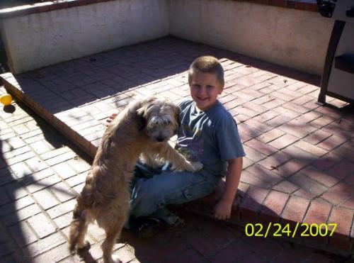 The dog - My son and our dog.