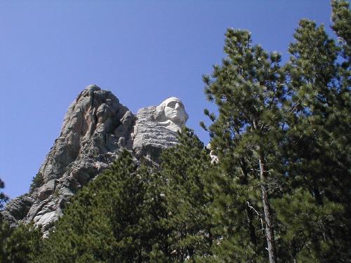 Washington through the trees - This is a picture of Mount Rushmore taken through some trees surrounding the base of the mountain. You can easily make out the sculpture of George Washington in this photo.