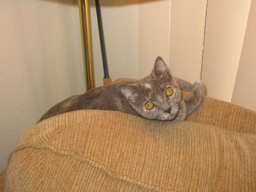 Ashley - Just Hanging out