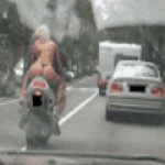 Motorcycle Thong. - Motorcycle Thong